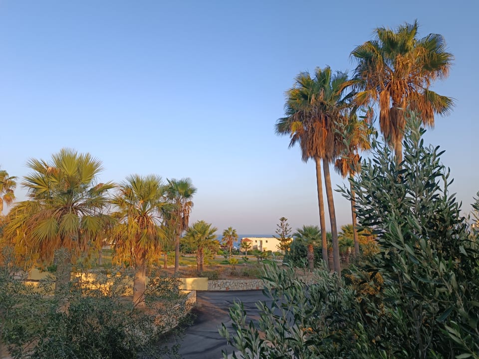 Gartenanlage Euro Village Achilleas Hotel