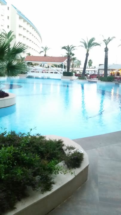 Am Pool Crystal Admiral