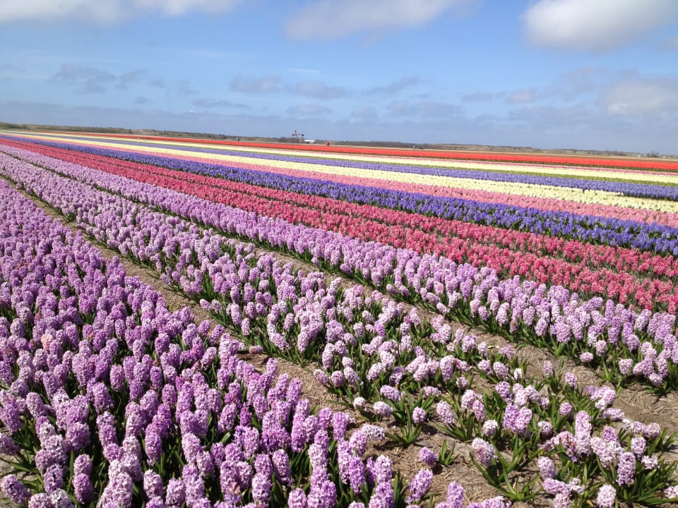 Sonstiges Hotel het Zwaantje