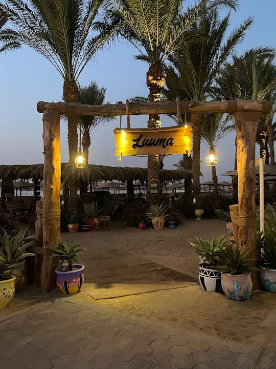 Gartenanlage Fort Arabesque Resort, Spa & Villas