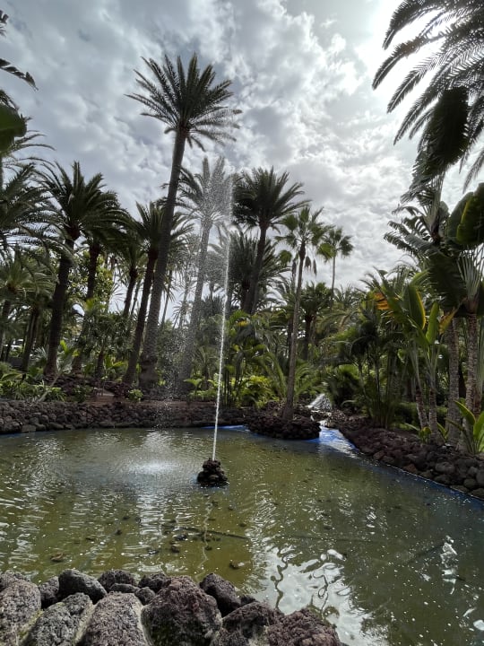 Außenansicht Hotel Riu Palace Oasis