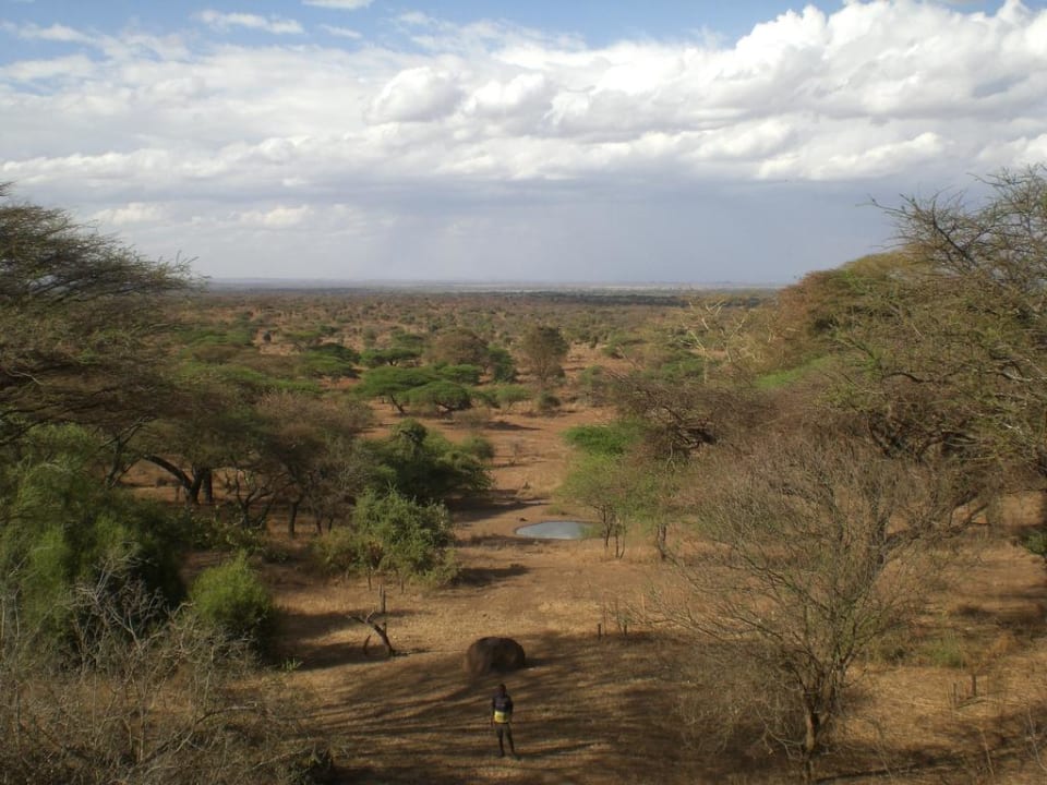 Ausblick von der Hemmingway Bar Hotel Amboseli Sopa Lodge