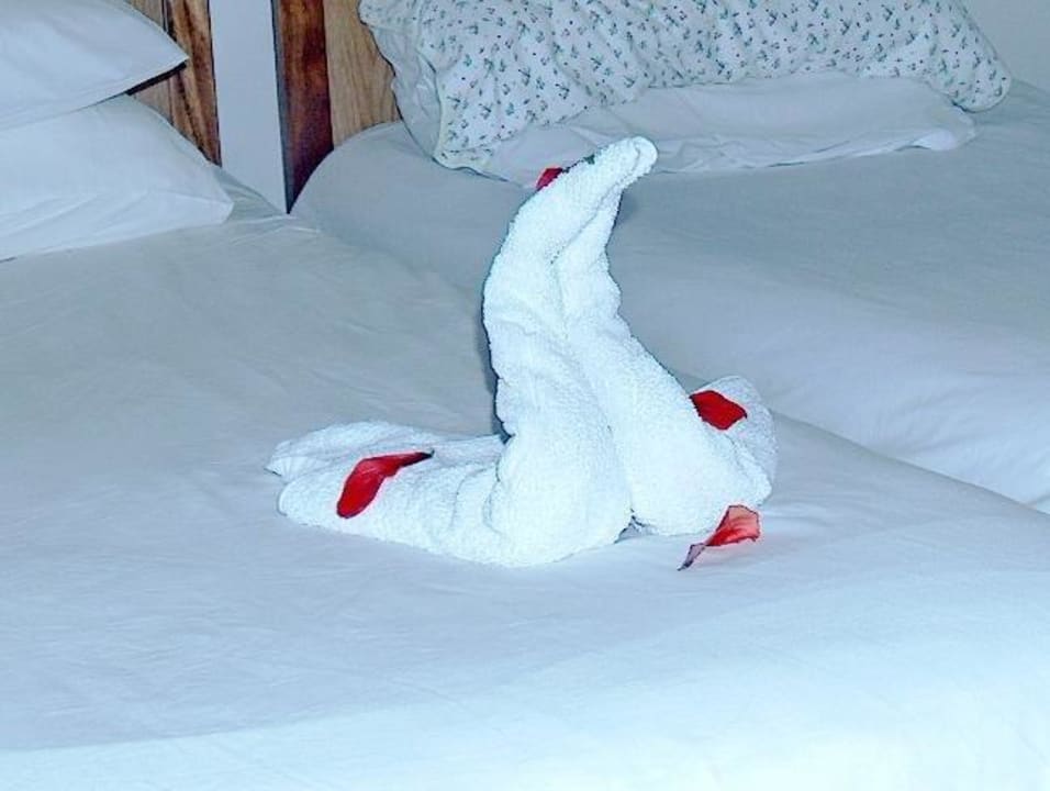 Mein lieber Schwan The Orangers Beach Resort and Bungalows