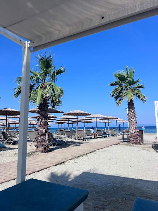 Pool Alea Hotel & Suites