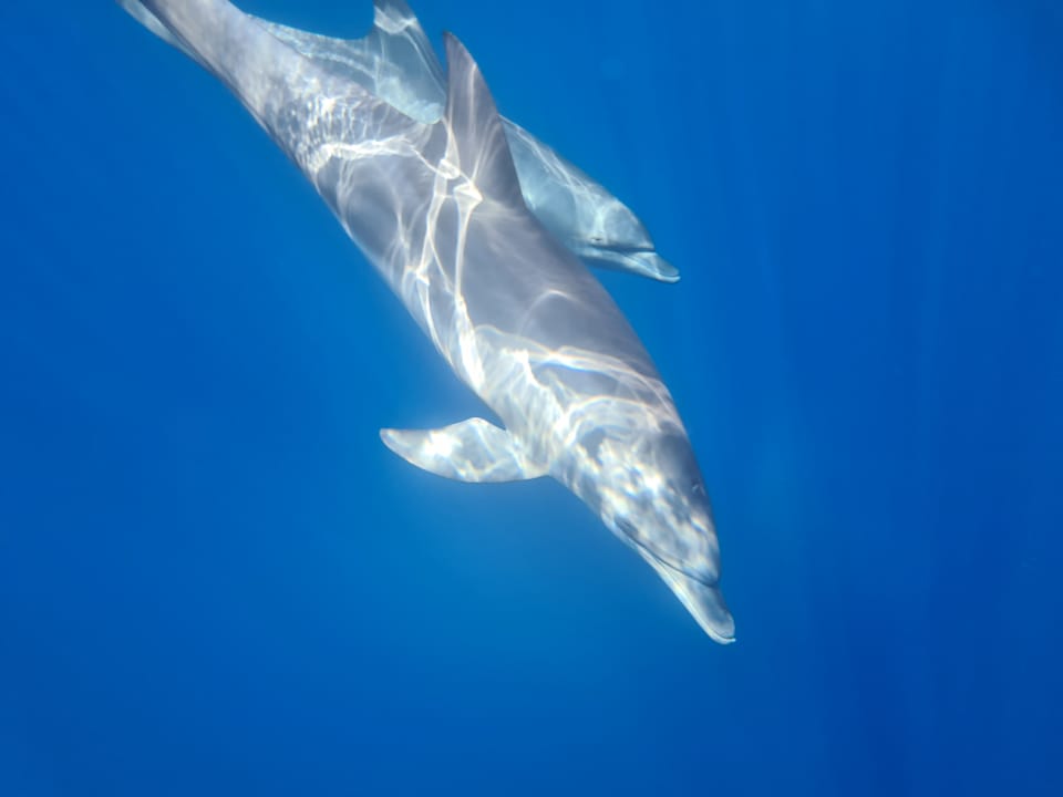 Sonstiges Utopia Beach Club