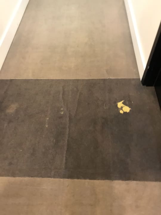 Zimmer AZIMUT Hotel St. Petersburg