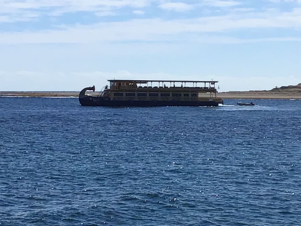 Sport & Freizeit Jaz Costa Mares (Adults Only)