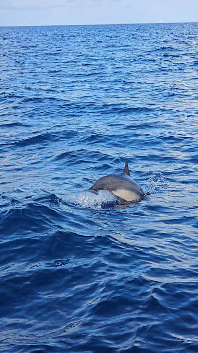 Sport & Freizeit Adaaran Select Hudhuran Fushi - Premium All Inclusive