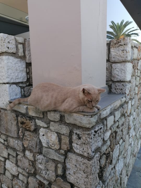 Gartenanlage Hotel Esperia