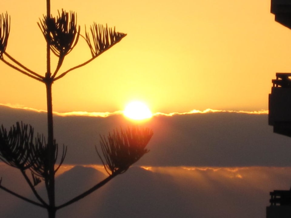 Der Sonnenuntergang Hovima Costa Adeje - For Cool Adults