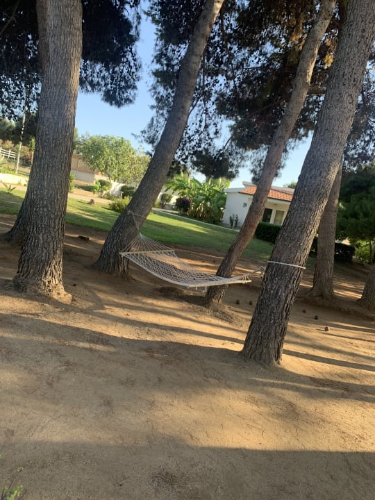 Gartenanlage TUI SUNEO La Conchiglia