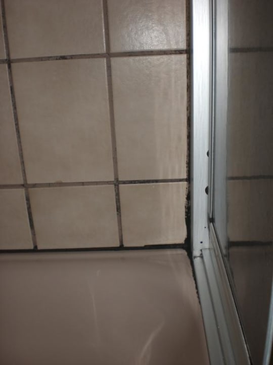 Blick in die Dusche Land-gut-Hotel Zur Linde Heede
