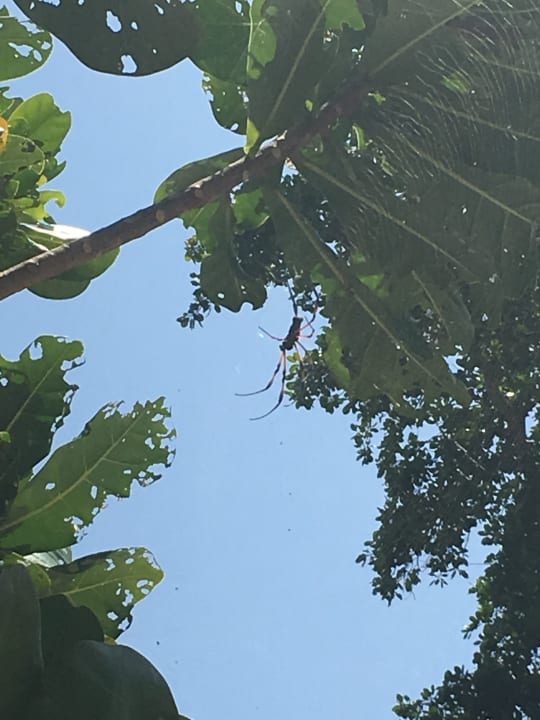 Sonstiges Guesthouse Cabanes des Anges