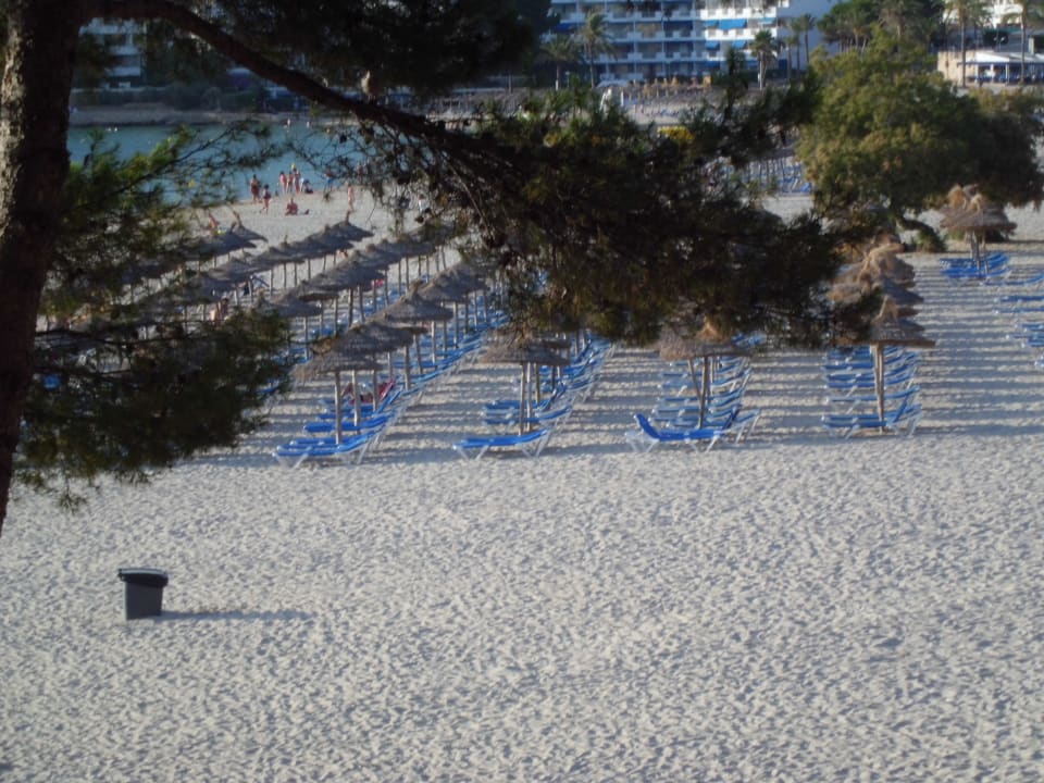Liegen+Schirm gegen Gebühr! Hotel Bahia del Sol