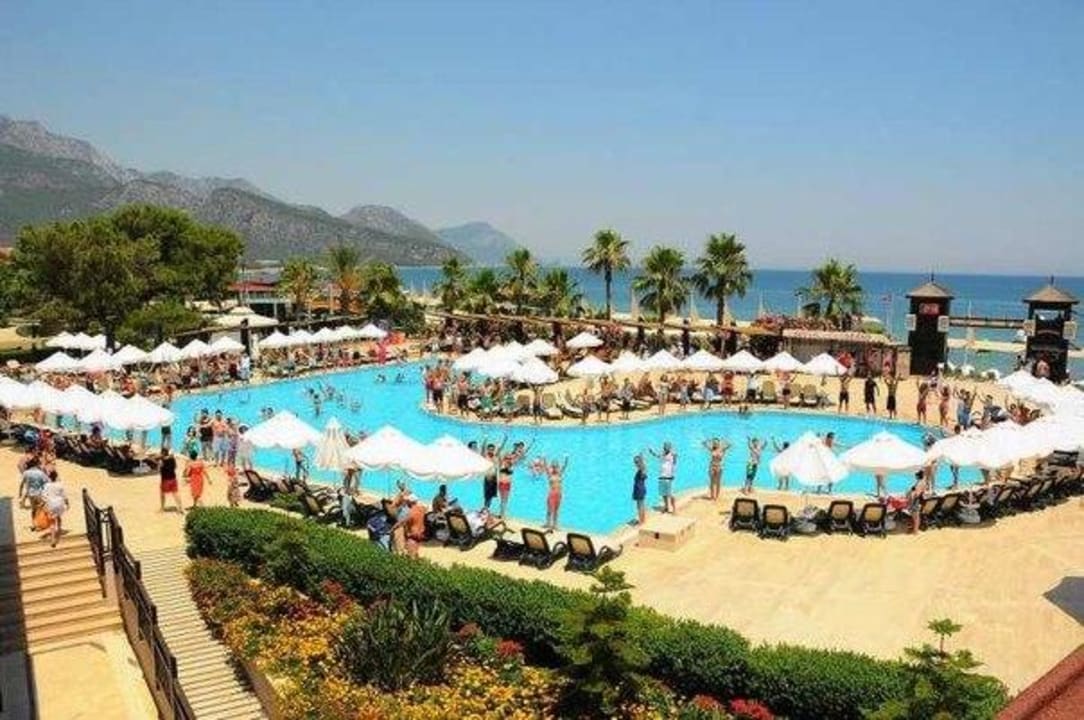 Шоу у бассейна Crystal Flora Pearl Collection