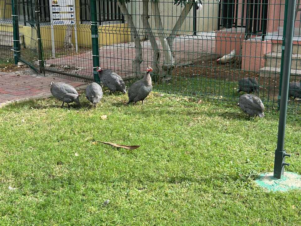 Gartenanlage VONRESORT Golden Beach