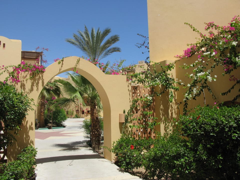 Anlage Steigenberger Coraya Beach - Adults only