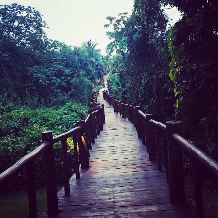 Gartenanlage Grand Palladium Colonial Resort & Spa