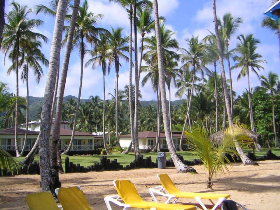 Beach Viva V Samana by Wyndham – Adults Only