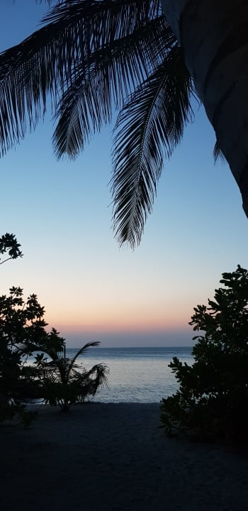 Ausblick Summer Island Maldives