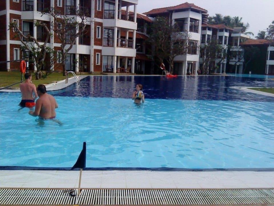 Animation im Pool Club Hotel Dolphin