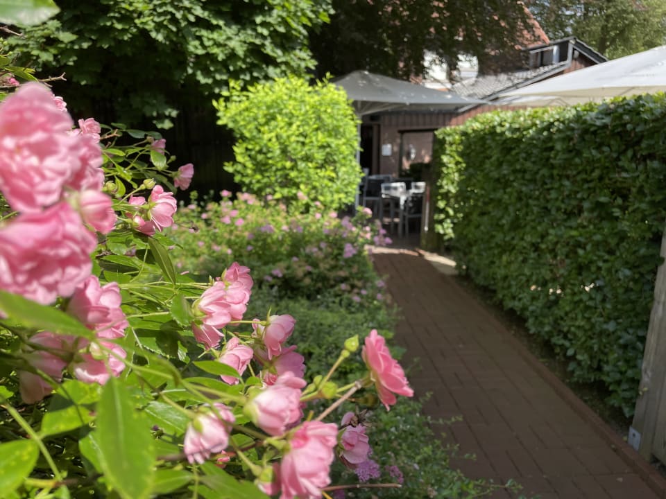 Gartenanlage AKZENT Hotel Thiemann & Restaurant Zur Jägerklause