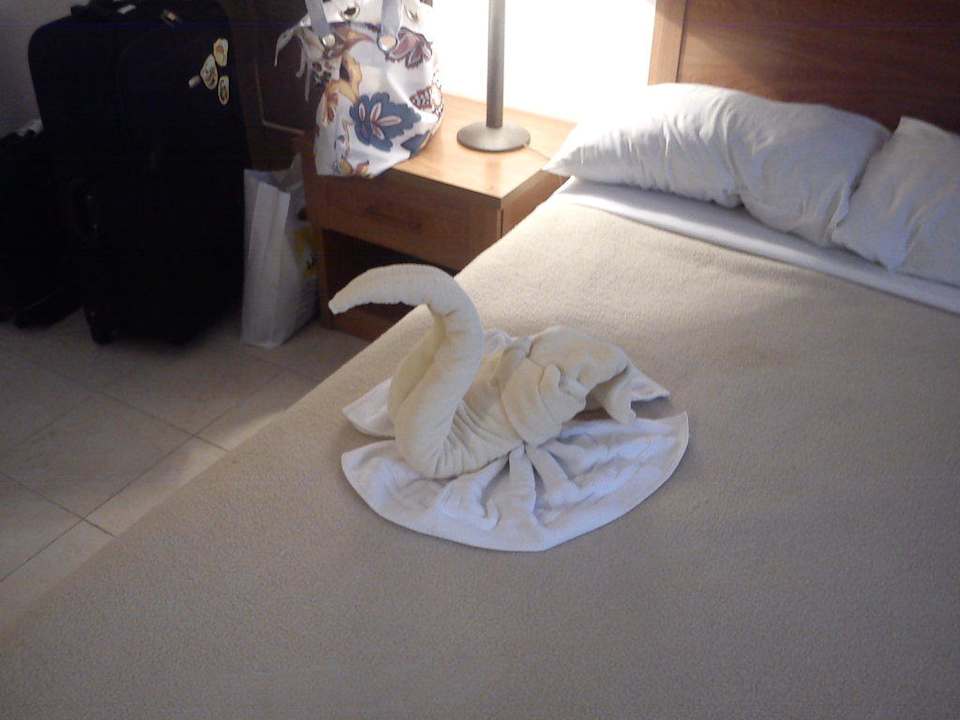 Лебедь Riviera Aqua Park Resort