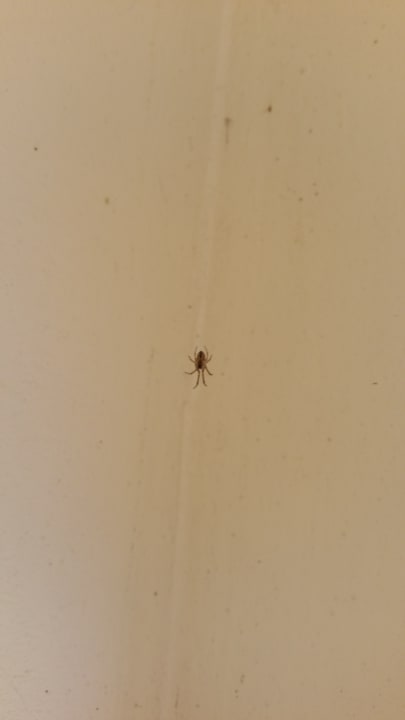 Zimmer Heide Park Holiday Camp