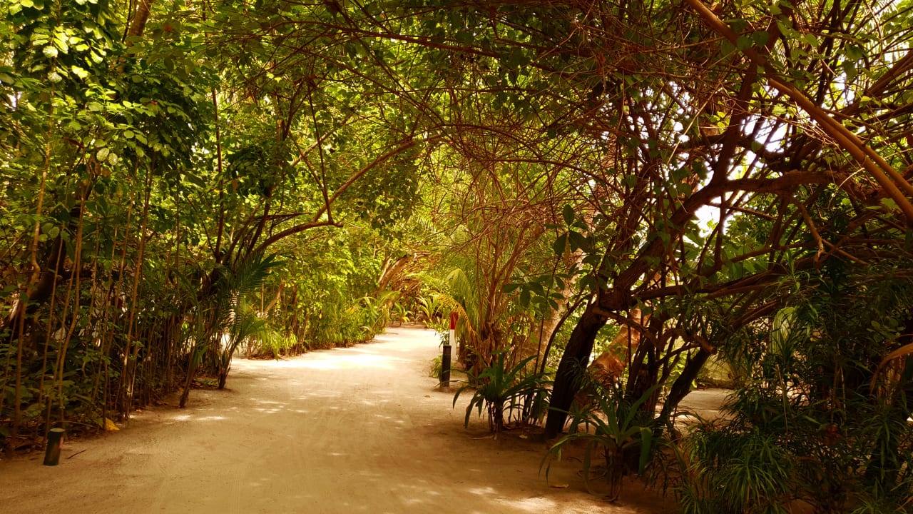 Gartenanlage Vilamendhoo Island Resort & Spa