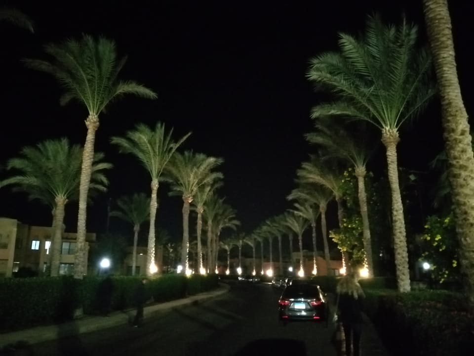 Gartenanlage Stella Garden Resort & Spa, Makadi Bay