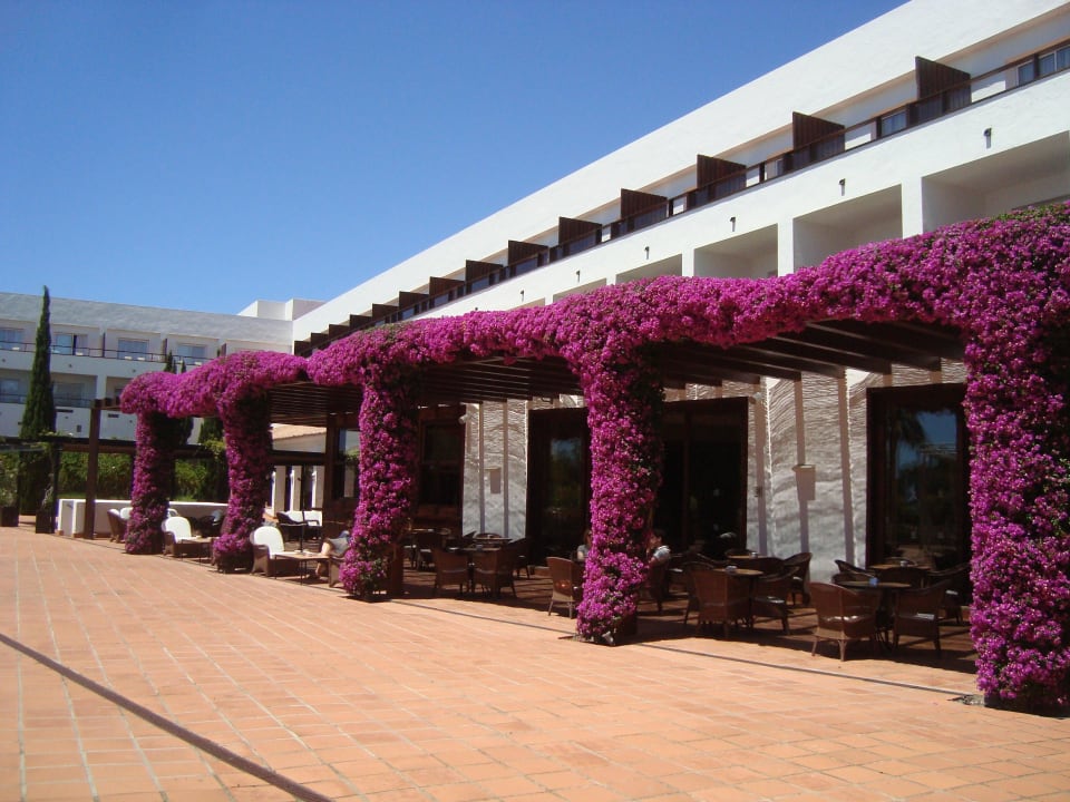 Terrasse Fuerte Conil-Resort
