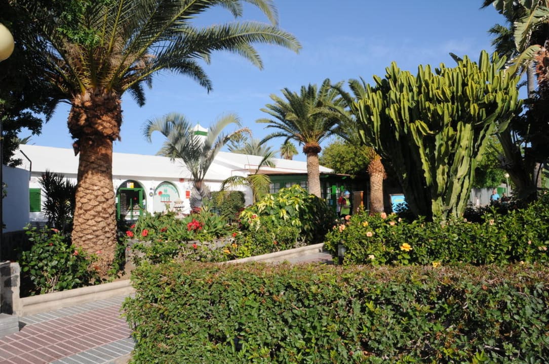 Eingangsbereich Canary Garden Club