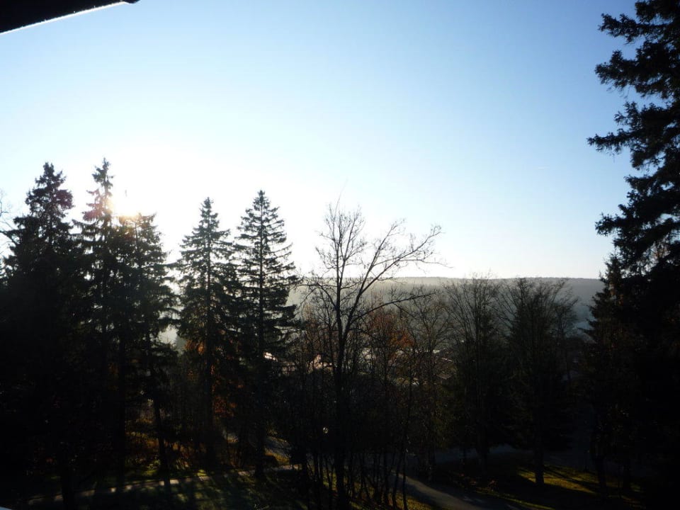 Ausblick vom Balkon Tannenpark