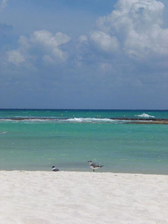 Strand Sandos Caracol Eco Resort