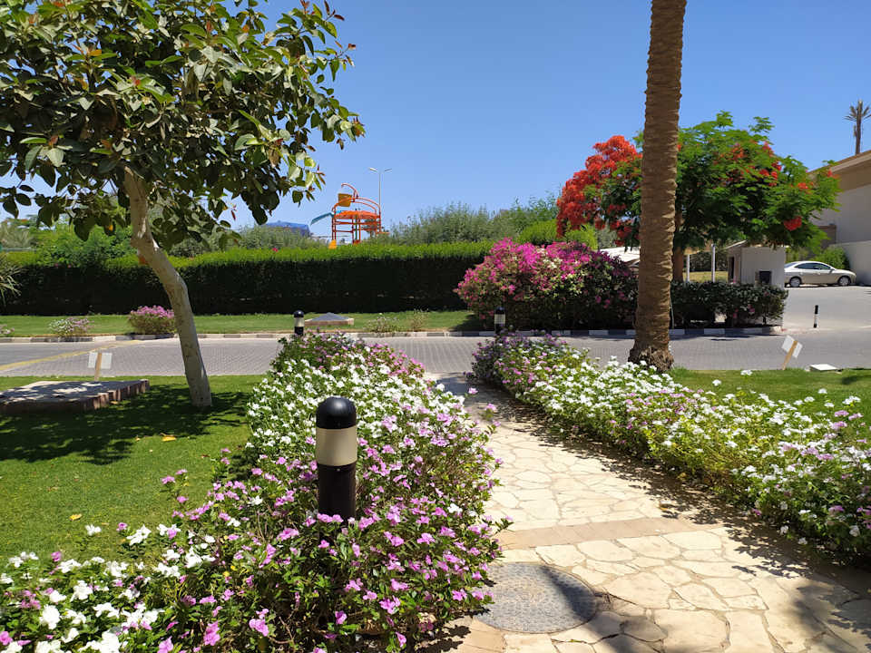 Außenansicht Marina Resort Port Ghalib, a member of Radisson Individuals