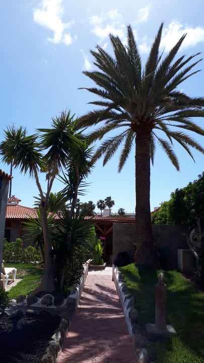 Gartenanlage HL Miraflor Suites Hotel