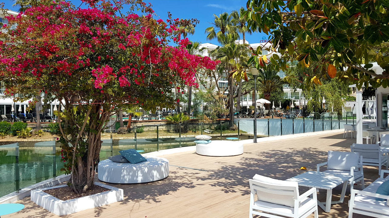 Gastro Alua Boccaccio