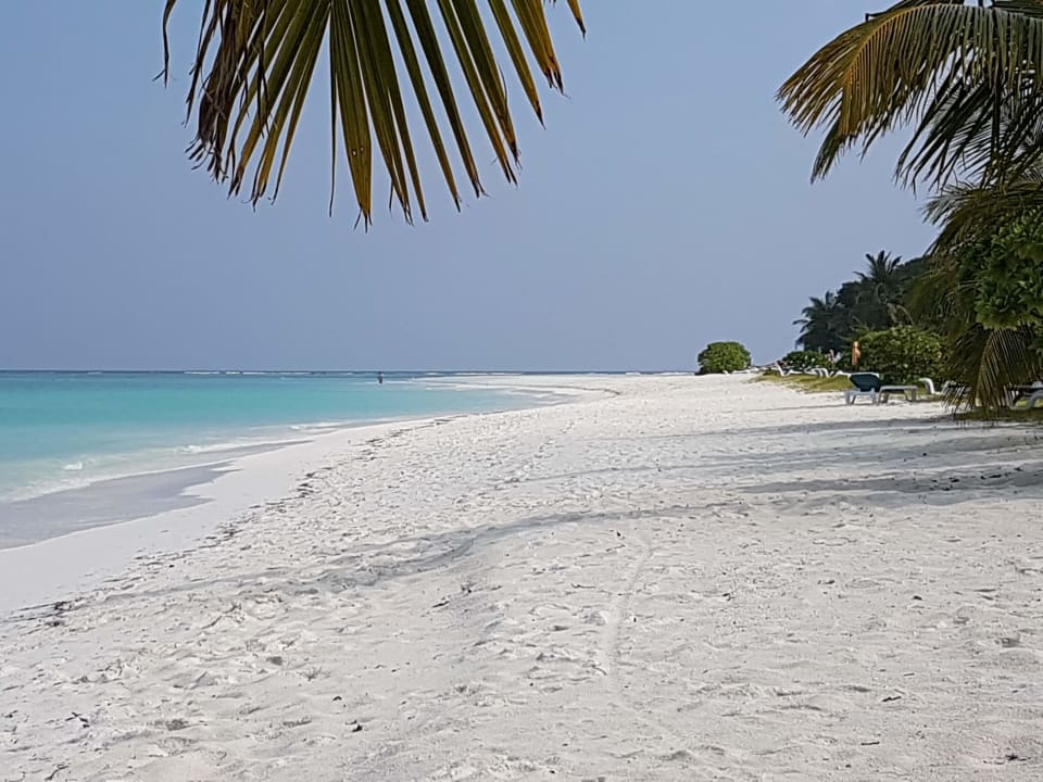 Strand Meeru Maldives Resort Island