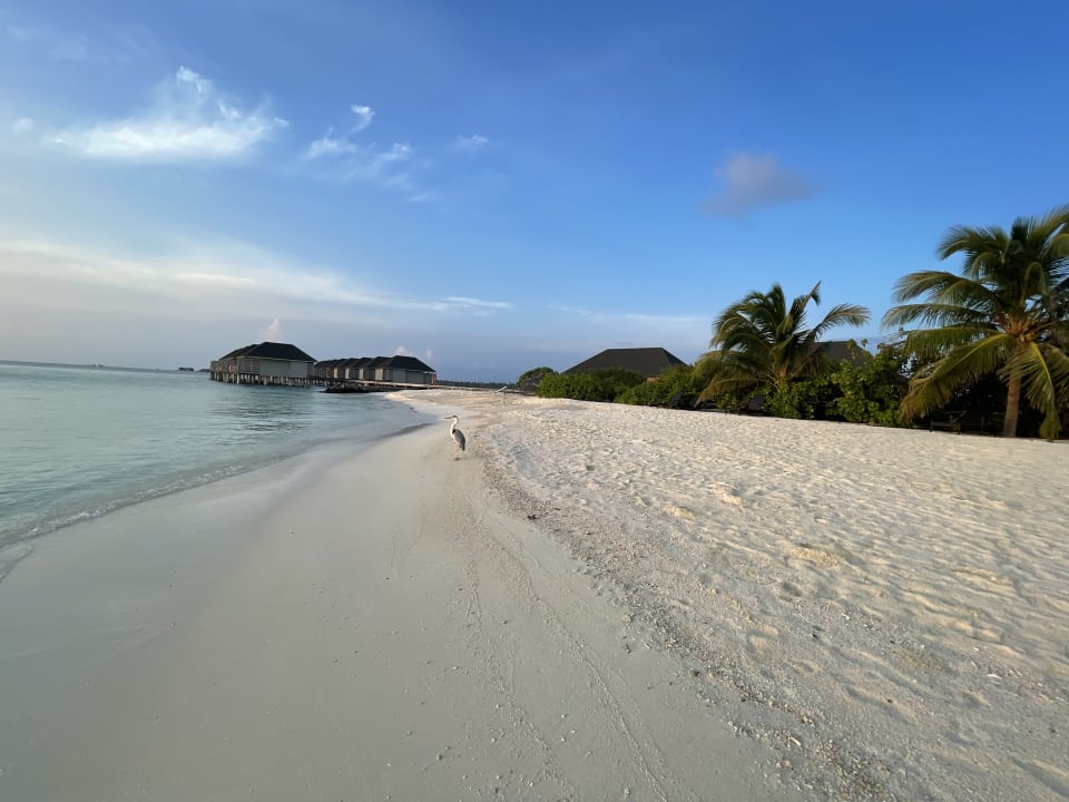 Außenansicht Summer Island Maldives