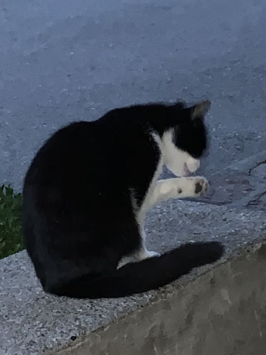 Sonstiges Ferienwohnung Nagerhof