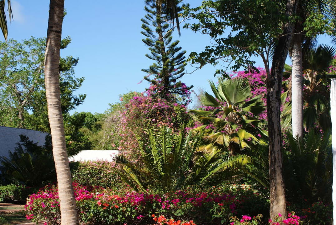 Der Garten der Diani Sea Lodge Hotel Diani Sea Lodge