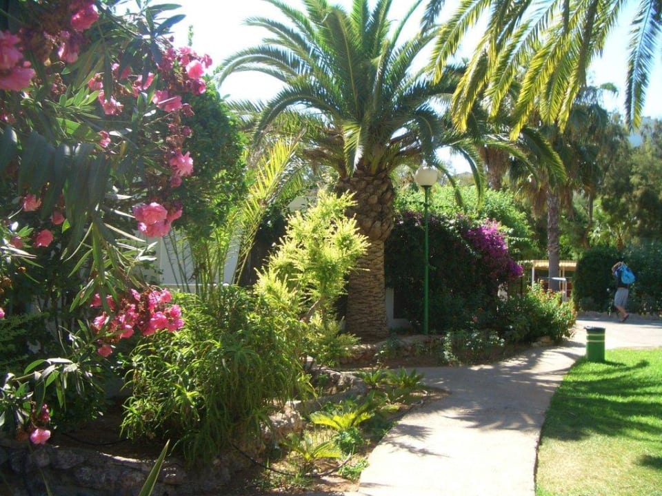 Nochmal der Garten Flipflop Cala Romantica