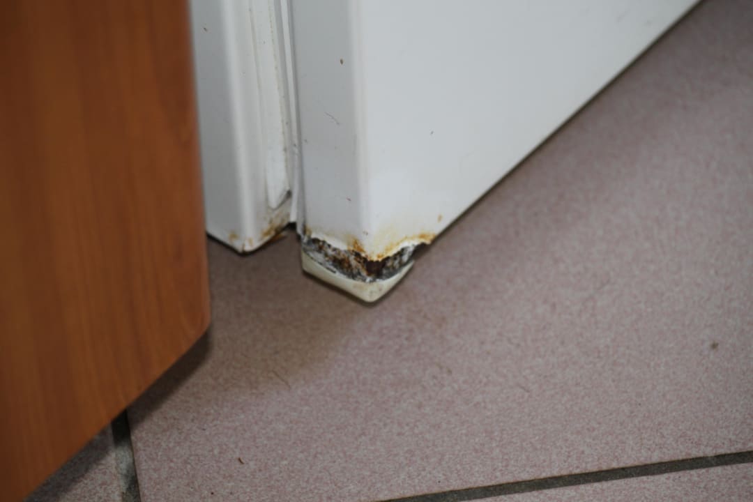 Kühlschrank Apartments Polynesia Plava Laguna