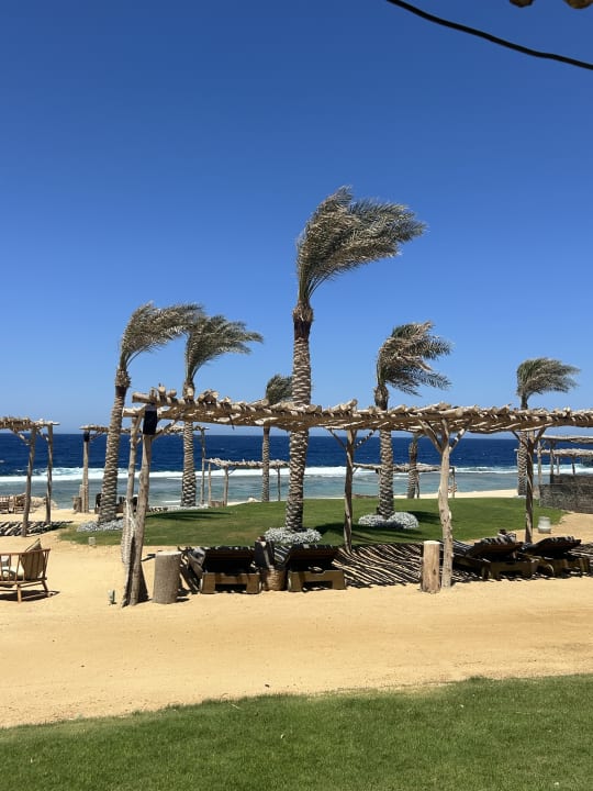 Gastro Steigenberger Resort Alaya Marsa Alam - Red Sea - Adults only