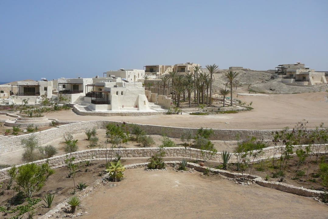 Übersicht The Oasis Dive Resort