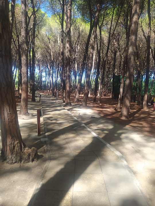 Strand TUI MAGIC LIFE Calabria