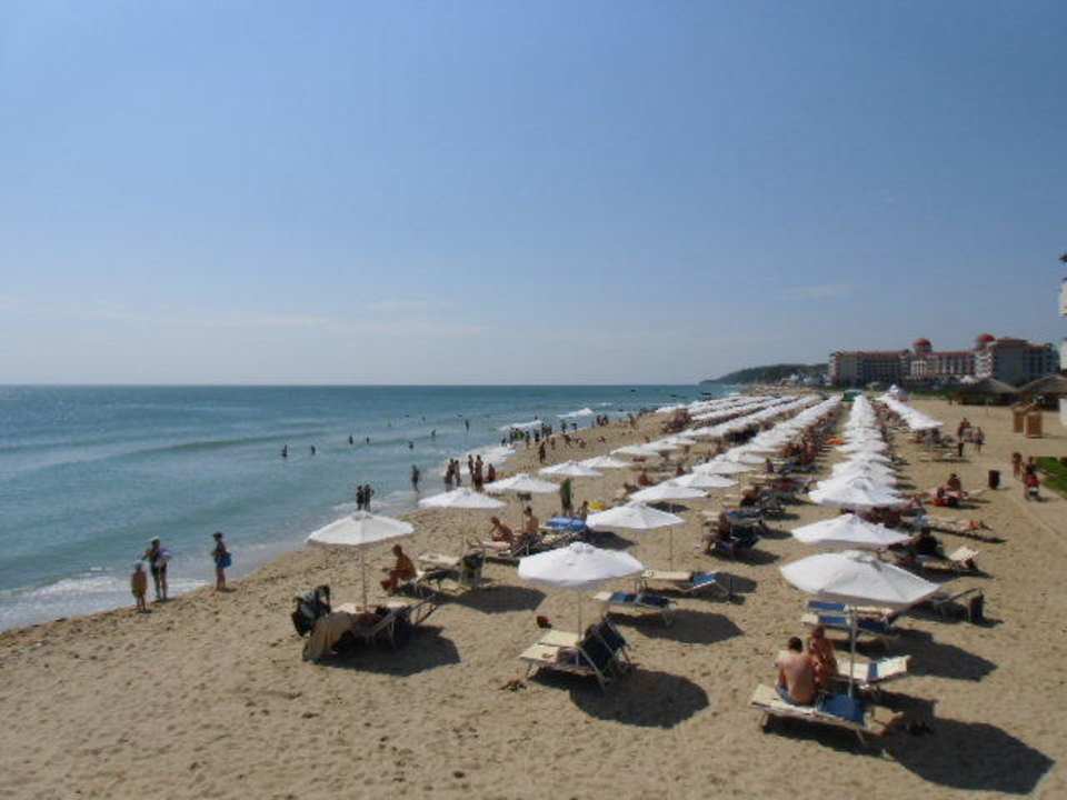 Hotelstrand mit Liegen HVD Clubhotel Miramar
