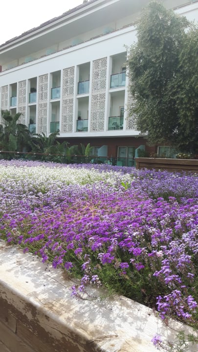 Außenansicht Sentido Trendy Verbena Beach