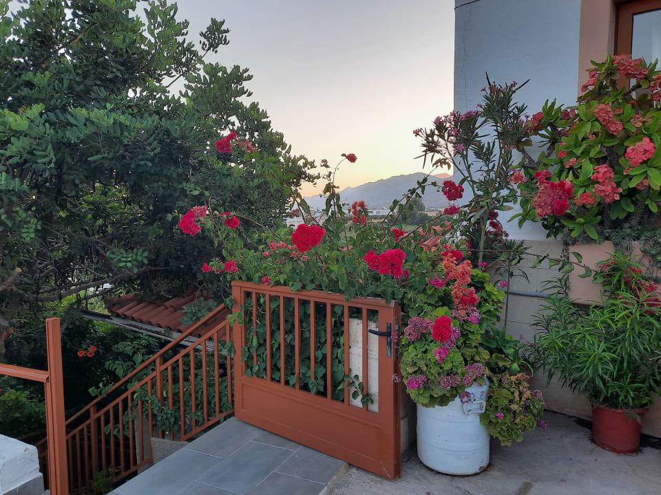 Gartenanlage Hotel South Coast