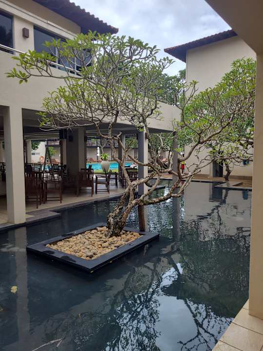 Gartenanlage Mermaid Hotel & Club